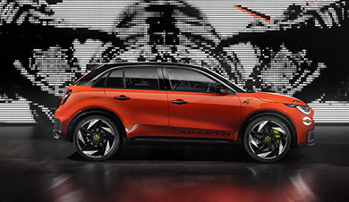 Alt text placeholder