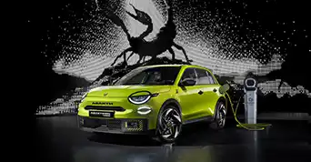 Alt text placeholder